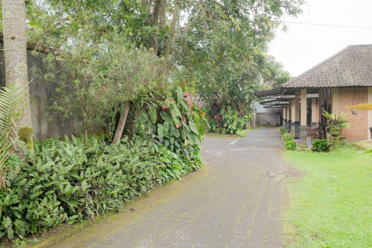 Pelangi Homestay Bedugul Redpartner Zewnętrze zdjęcie